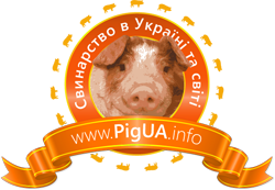 PigUA.info