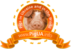PigUA.info