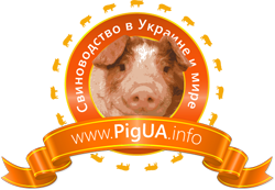 PigUA.info